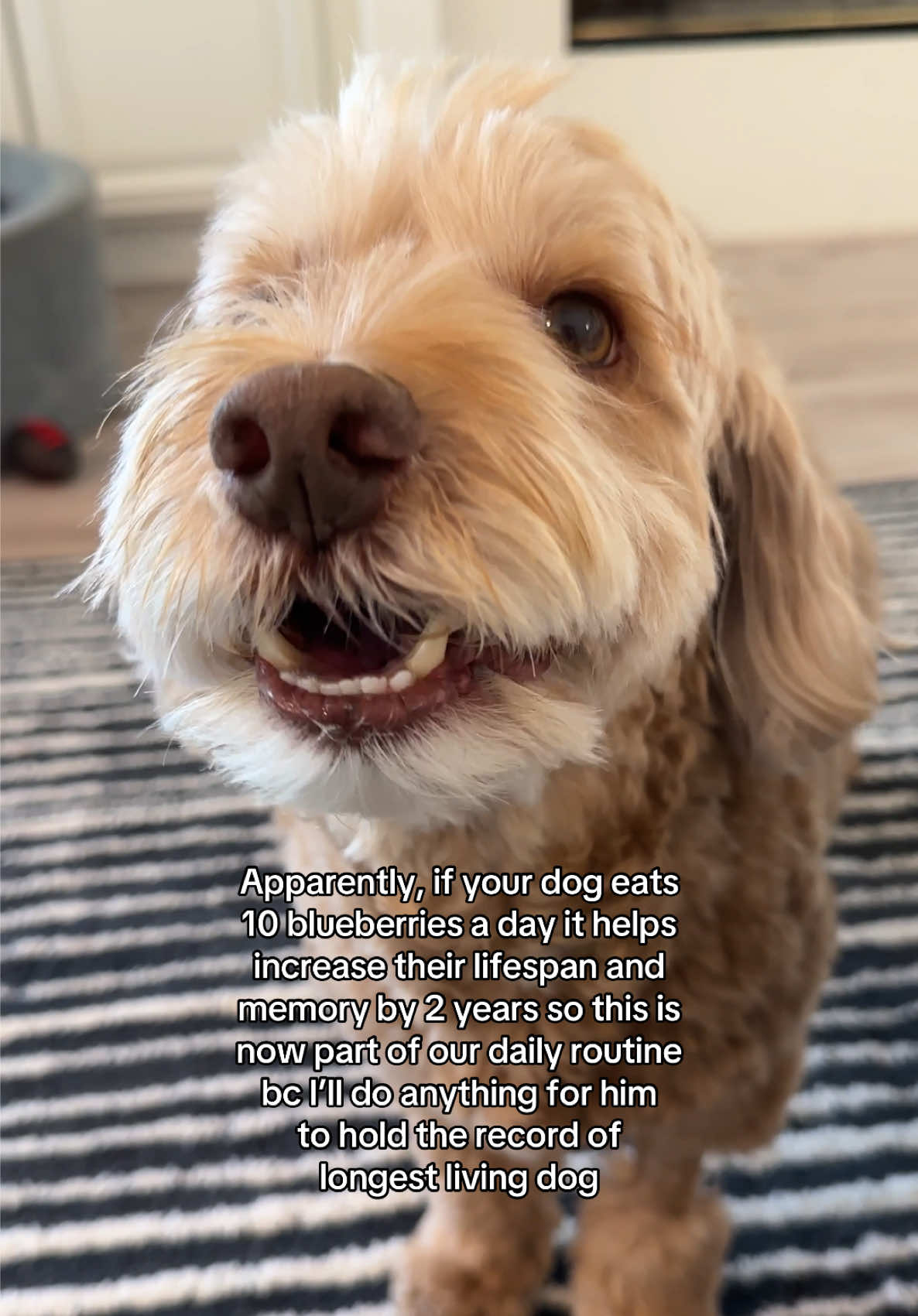 He’s going to live forever and ever 🥹