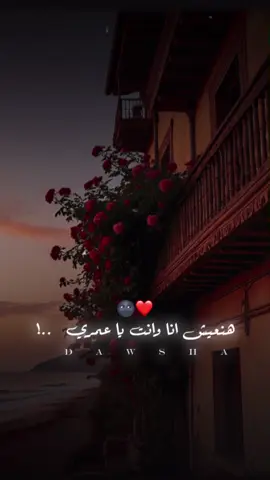 انا بحبك اكتر 🌚❤️ #عمرو_دياب #amrdiab 