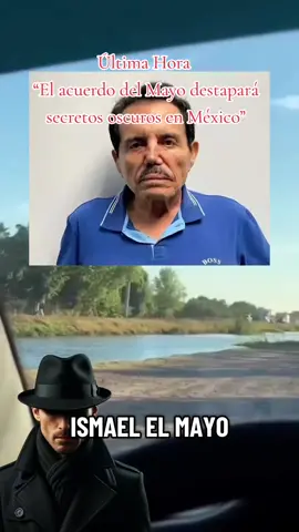 #mayozamba #usa #mexico #noticias