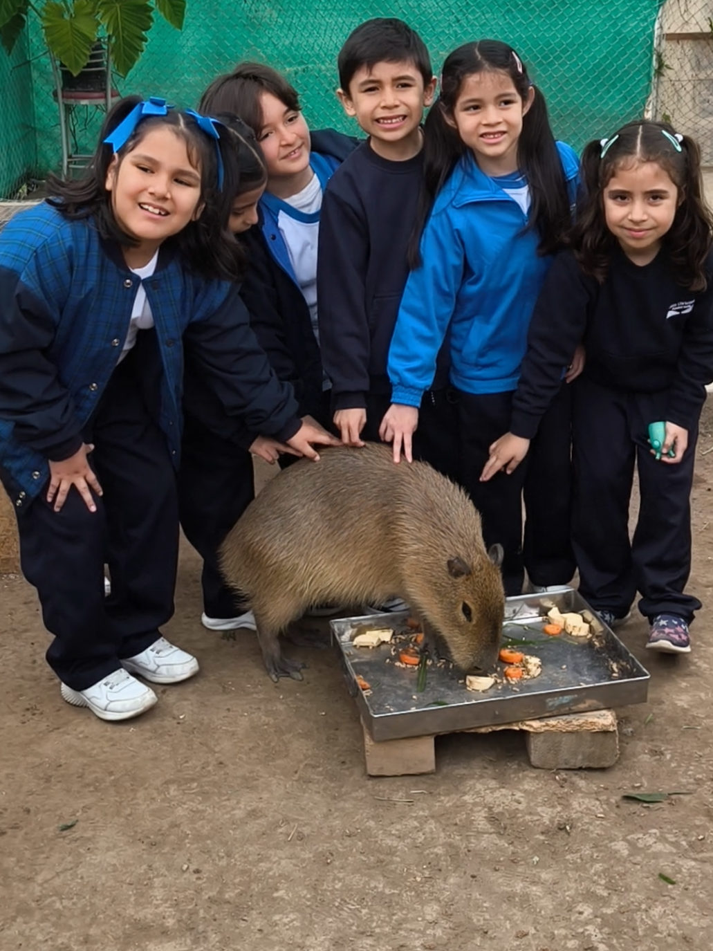 Para más info de visitas escolares escríbenos al WhatsApp 950165376