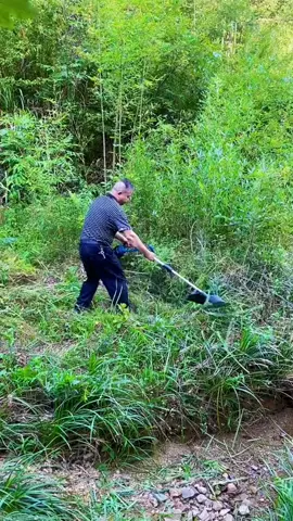 Máy phát cỏ dùng pin gọn gàng tiện lợi nhẹ dễ sử dụng 