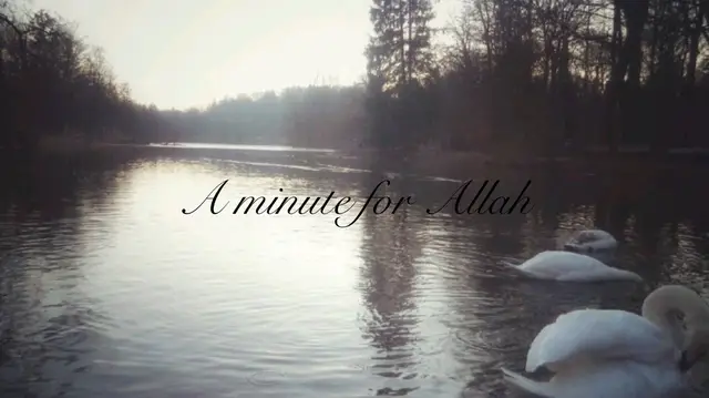 #fy #allah #quran #قران_كريم 