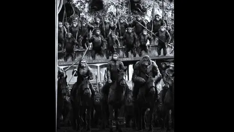 Goated Trilogy || #planetoftheapes #caesaredit #planetoftheapescaesar #movieedit 