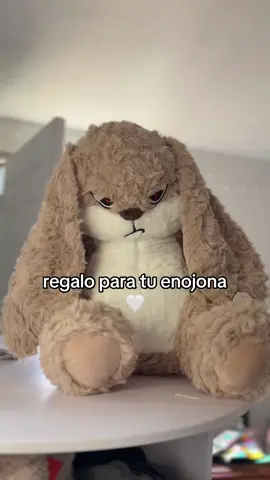 me la agarré para mí misma  😂🤍 #enojona #regalo #novia #peluche #mexicana 