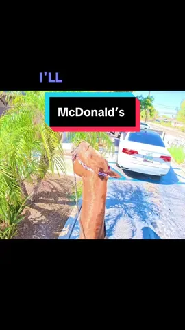 Exercised my friends mare for her and rode her to McDonald’s. That’s appropriate right?  #horseriding #horse #fun #food #animal@Kbmarie431 @QueenSpicex5 