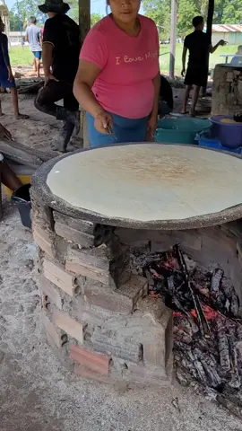 realidade da agricultura familiar nas comunidades indígenas. #indigenous  #emprendedor  #fy  #tiktokgringo 