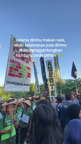 salam satu lahan, salam hulu hilir, ilmu padi🌾#mahasiswa #unsulbar #pkkmb2025 #kotapendidikan #mahasiswapertanian 