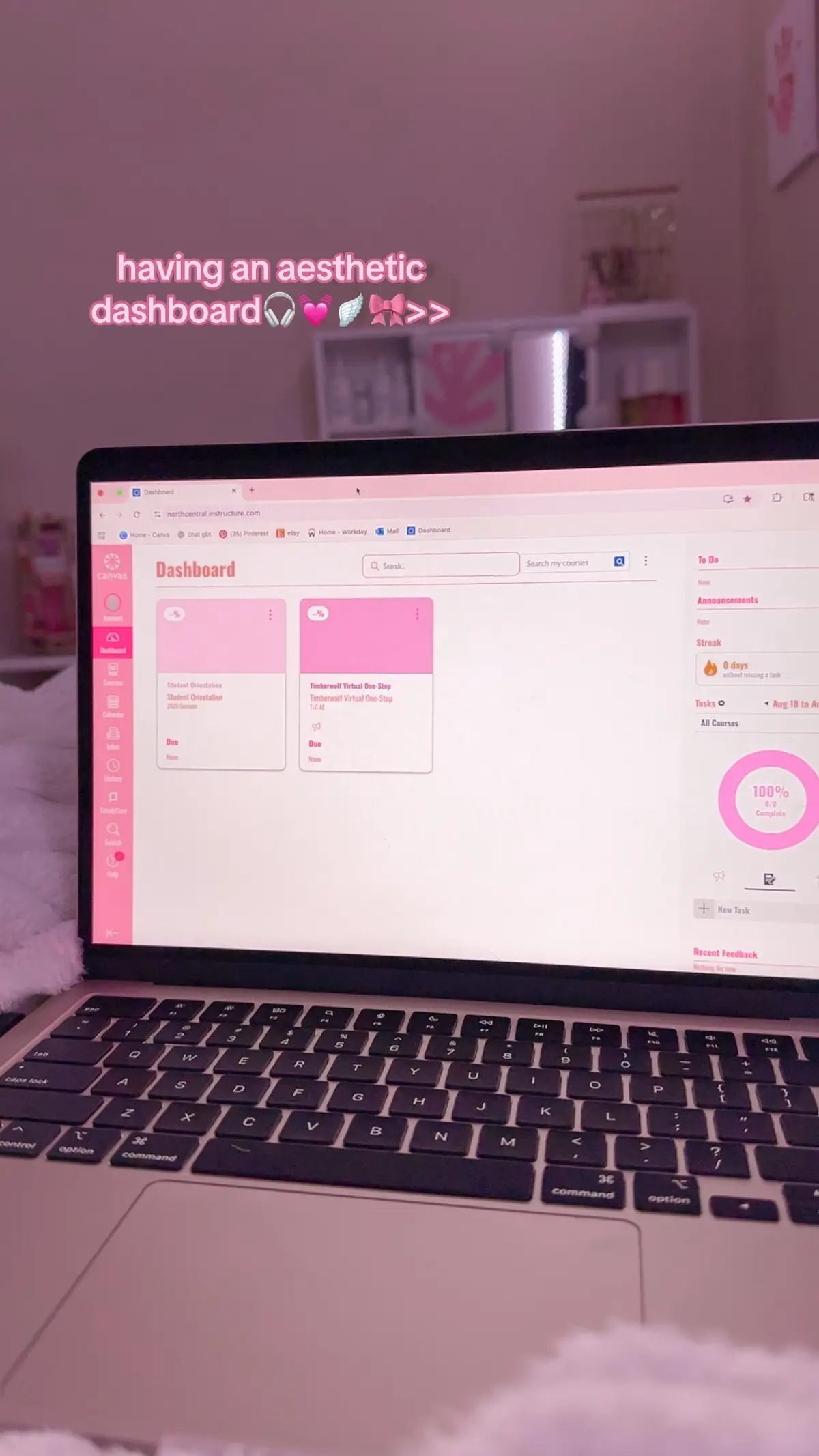 #canvasdashboard #collegeaesthetic #pink #collegegirl #canvasaesthetic 