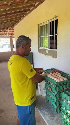 #agro #agricultura #tiktokviral 