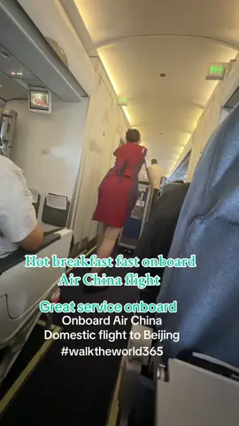 Air China Flight #airchina #fyp #traveltiktok #traveltiktok #onboard 