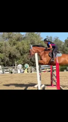 First jump back since the show i’m going to miss my morning lessons so much when school starts