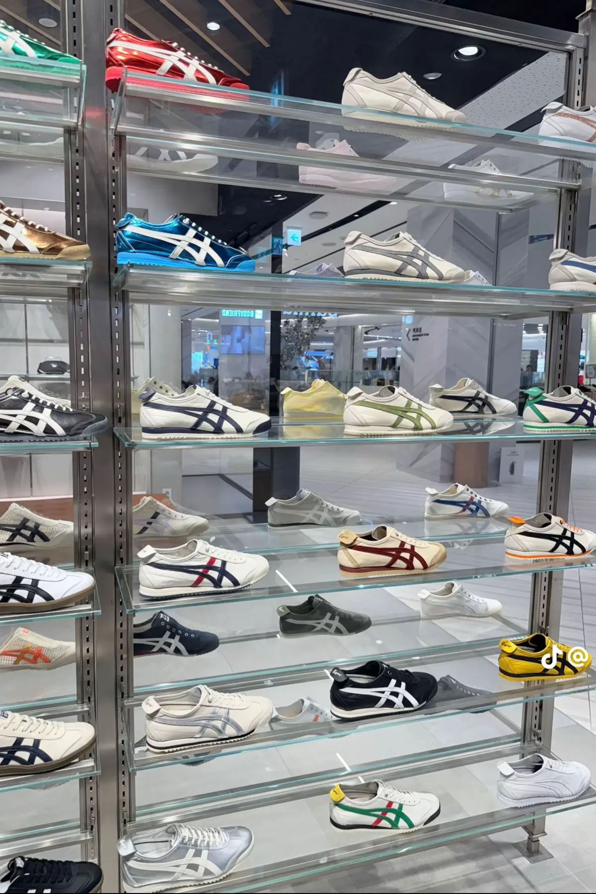 Ngắm Hổ cùng e đi ạ #onitsukatigermexico66 #onitsukatiger #オニツカタイガー #xuhuong #custom 