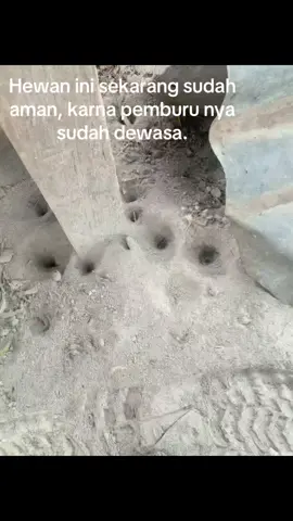 Ada yg tau namanya? #mainanmasakecil 
