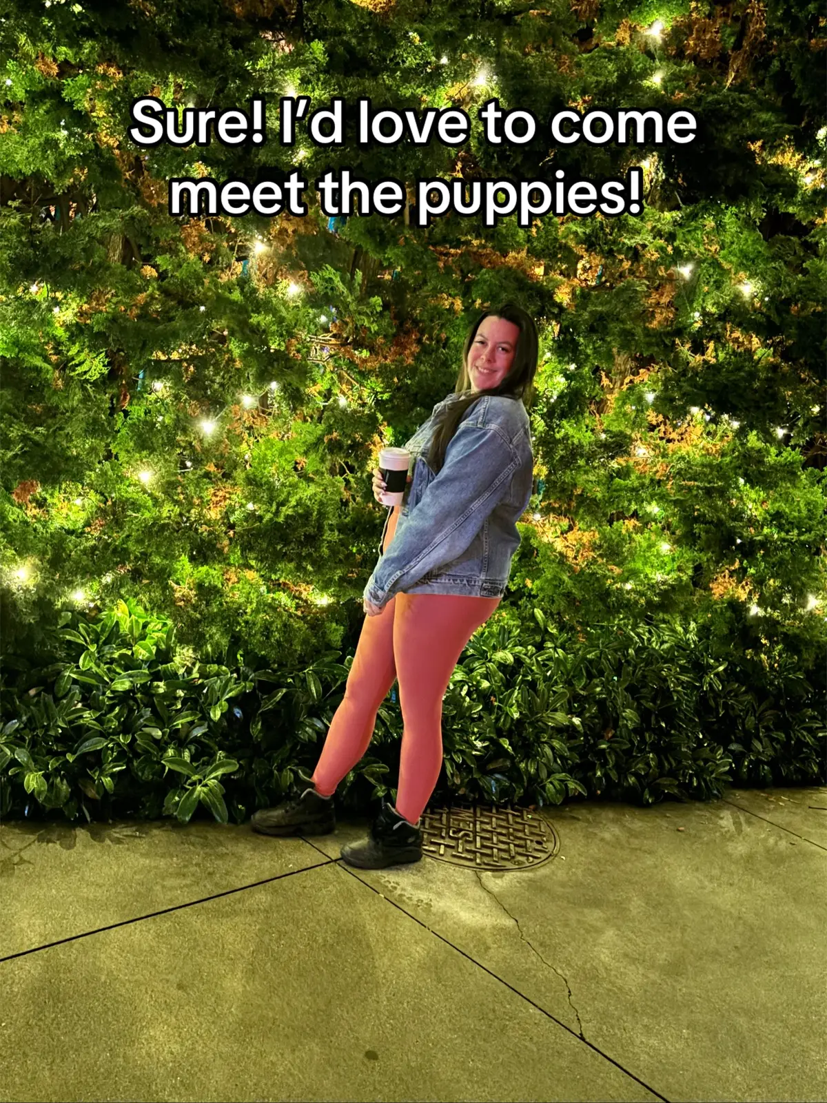 I’ve wanted a Xoloitzcuintli for awhile so I was familiar with the breed. I was just starting out in conformation and really succeeding in performance sports when this sweet girl chose me. To be chosen by a Xoloitzcuintli is a spiritual experience that I have no words to describe  #maslowthetrickcorgi #xoloitzcuintle #dogsoftiktok 