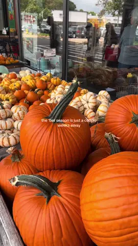 SEPTEMBER - DECEMBER ARE PEAK MONTHS 🎃🎄 #bermonths #hallowee2025 #christmas2025 #holidaycountdown #fallaesthetic 