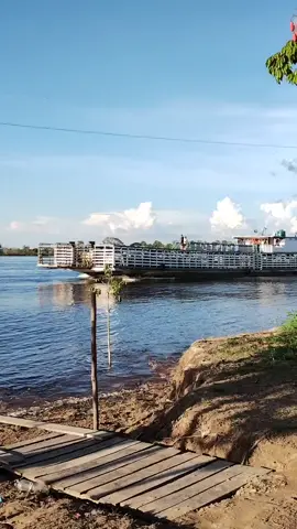 balsa boiadeira 