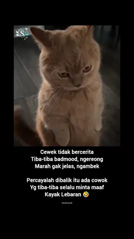 #sekedar_hiburan🌾 #®yn
