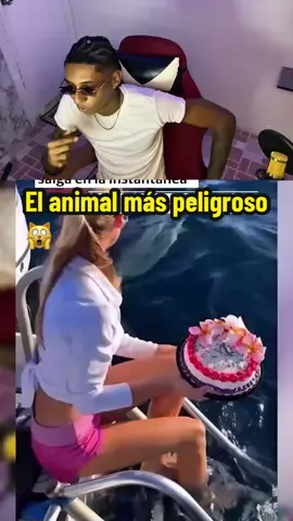El animal más peligroso del mundo🫣