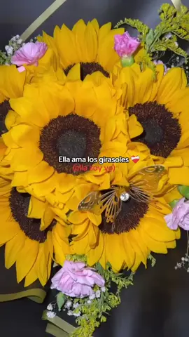 #foryoupage #girasoles🌻 #🌻🌻🌻🌻🌻🌻🌻🌻🌻🌻 #viral #videoviral 