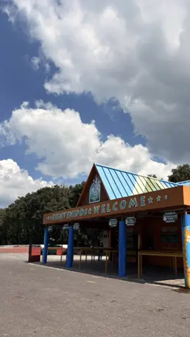 Tienen que ir a @Bioparque México 🦁🦒🐘🦓🐅 #bioparqueestrella #safari #bioparque #capibara #aventura 