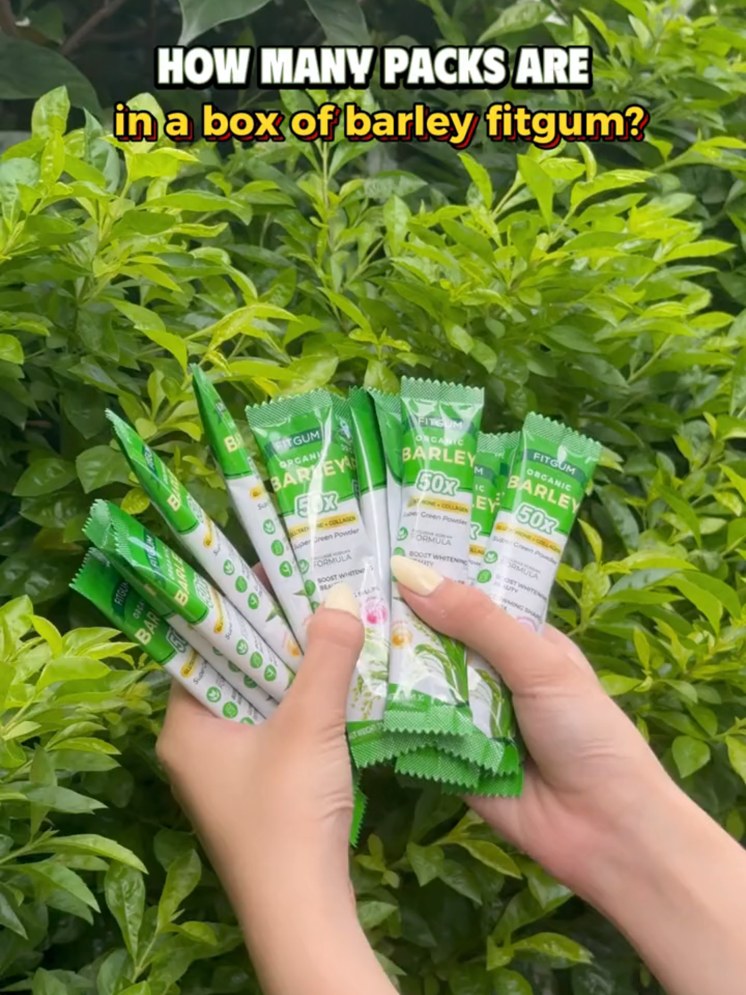 How many packs are in a box of Barley? #fyp #trending #viral #barley #fitgum #organic #fitgumbarley #philippines