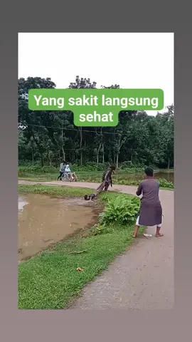 Selamat pagi selamat beraktivitas. Salam sehat dan sukses selalu🙏🙏🙏 #semangat #reels #viral #fyp #semuaorang