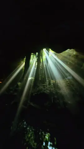 #cuevas #fantastic #viral #pyc #mexico 