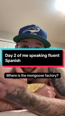 Day two of speaking immaculate Spanish. #fyp #duolingo #spanishtok #language 