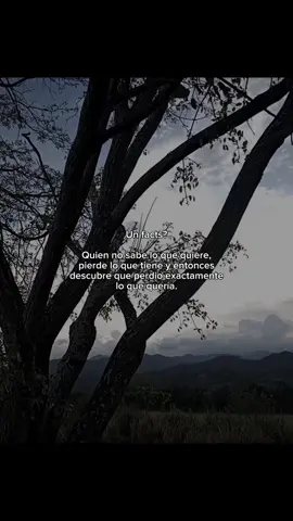 A veces no valoramos lo que tenemos... hasta que lo perdemos y descubrimos que era justo lo que queríamos. #motivacion #reflexion #mentalidad #desarrollopersonal #facts 