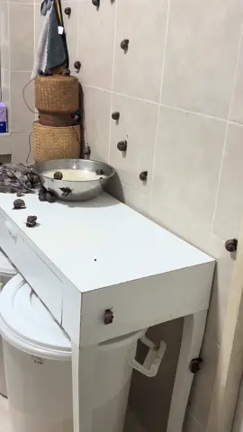 ลืมขังหอย🤣😆🐌🐌