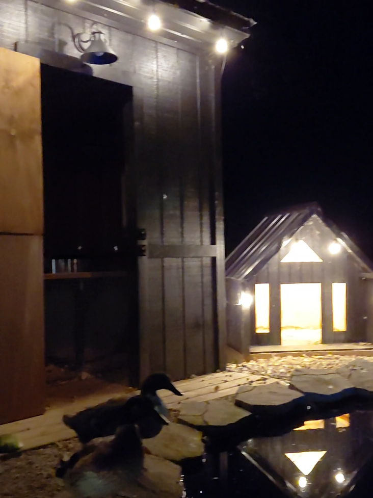 Quiet and peaceful night out by the duck house   #tranquility 