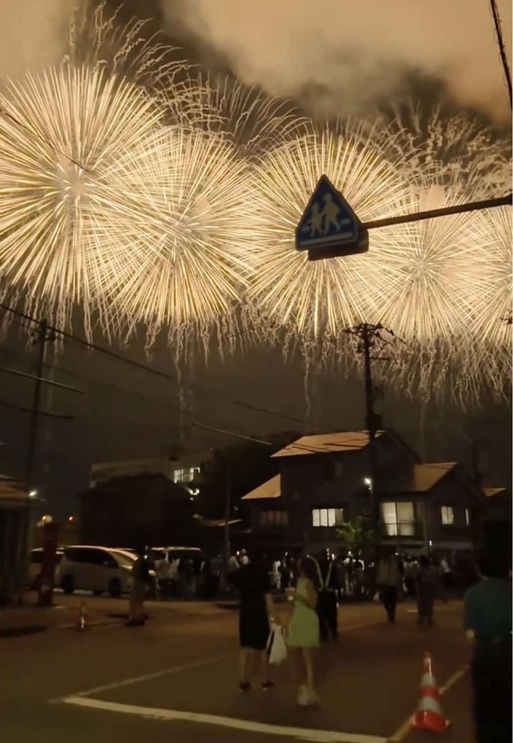 Nagaoka Fireworks 2025 / 長岡花火🇯🇵 📸 iPhone16 ProMax