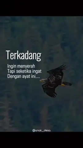 #quotes #foryou #foryoupage #laguviral #CapCut 
