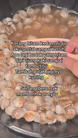 Budak hitam kedam #fypシ゚viral🖤tiktok #fypシ゚ #bengkalis #fyppppppppppppppppppppppp #seafood @Warga Bengkalis @TikTok Indonesia  