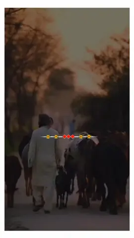 اومیڈی غربت ڈیکھ کے خوش نہ تھی ڈیں ہکو جئے صدانئی راہندن#foryoupage #vrilevideo #mianwali #plzviral🥺🥺🙏🙏foryoupage #plzforyou😳😳🙏🙏foryoupage 