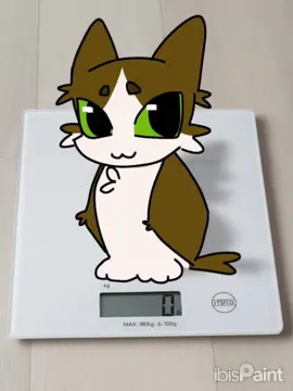 Meowl is hyperaware…(loud audio warning btw!) #fyp #trend #viral #meowl #cat