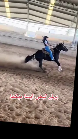 #viralvideo #trading #foryou #please #growmyaccount #forme #speedhorse 
