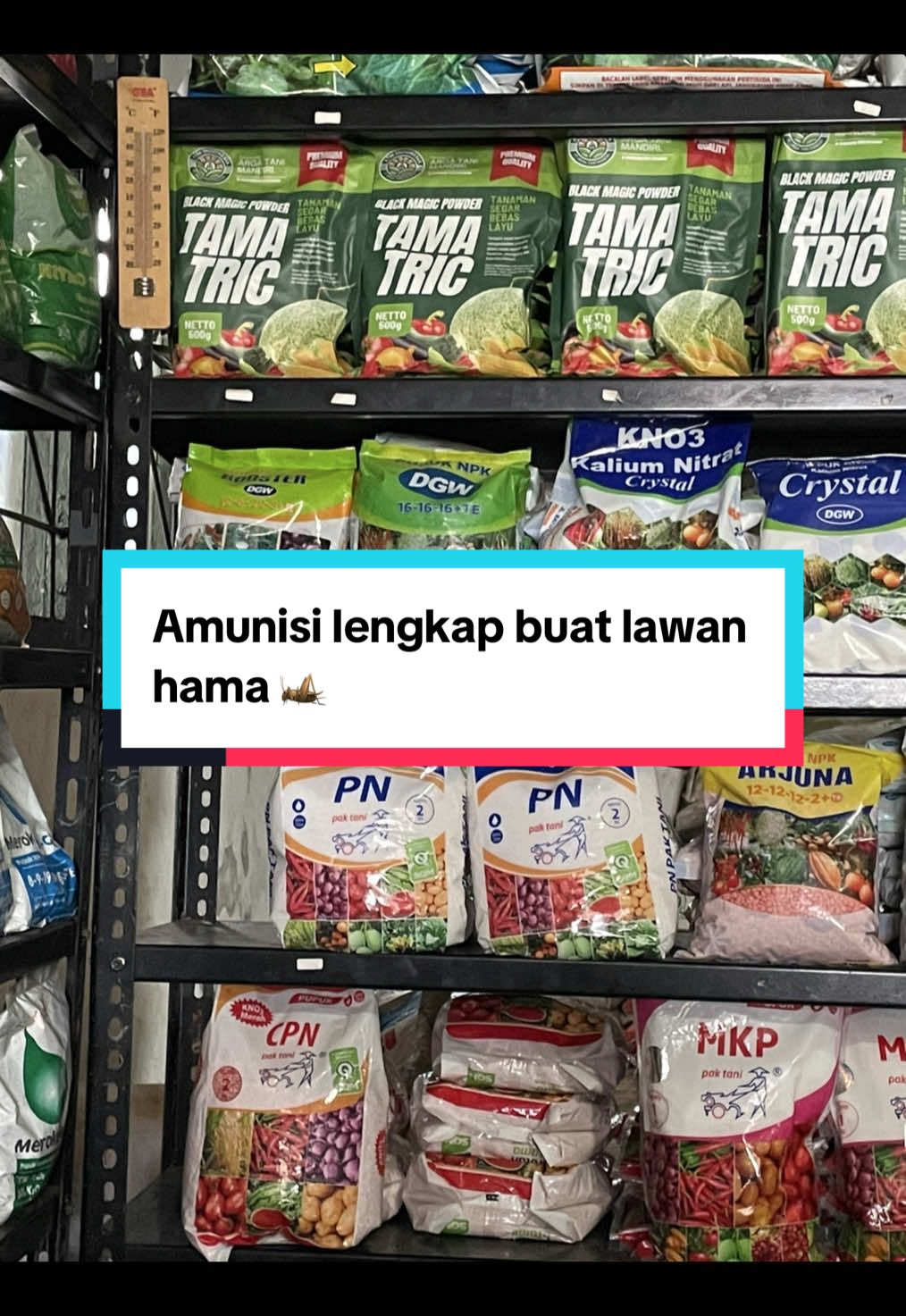 1. Topdor 10WP – 100 gram 🌱 Insektisida sistemik berbentuk tepung. 🌱Cocok untuk wereng batang cokelat, kutu daun, dan hama penghisap lainnya. 🌱 Meresap ke jaringan tanaman, jadi melindungi dari dalam. 2. Besvidor 25WP – 100 gram 🌱 Insektisida spektrum luas. 🌱 Efektif mengendalikan ulat grayak, ulat penggulung daun, dan ulat tanah. 🌱 Bisa dipakai di padi, jagung, cabai, tomat, dll. 3. Ajidor 30WP – 100 gram 🌱 Insektisida sistemik + kontak. 🌱 Untuk mengendalikan wereng, penggerek batang, ulat grayak, ulat penggulung daun, serta thrips. 4. Avidor 25WP – 100 gram 🌱 Insektisida kontak dan lambung. 🌱 Ampuh untuk thrips, tungau/mites, ulat daun. 🌱 Cocok buat sayuran seperti cabai, tomat, terong, dll. #fyp #tokopertanian #petanimuda #petaniindonesia🇮🇩🇮🇩🇮🇩🌿🌿 