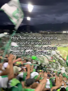 Por tu hinchada que te quiere 💚 #lds #nacional #libertadores #futbol #barra