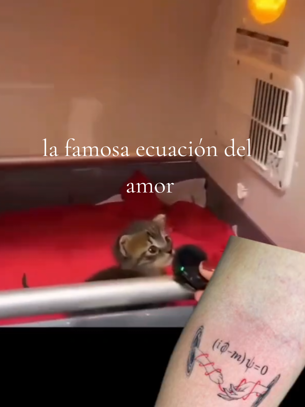 la famosa ecuación del amor, ¿la conocías? #ecuacion #amor #universe #fisica #tatuaje 