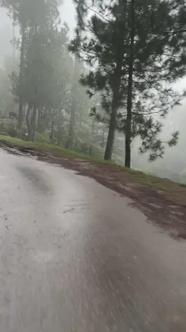 #unfrezzmyaccount #viralvideo #murree #punjab #tiktokpakistan 