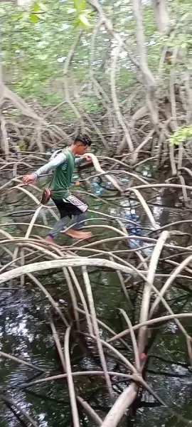 me llamo pescador extremo y apuesto 200 dólares elq me gane una carrera en los manglares #video #viral #videodepescaviral
