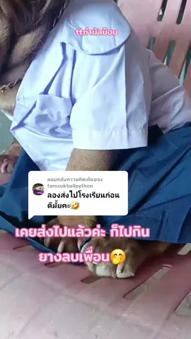 ตอบกลับ @farnsukballpython 
