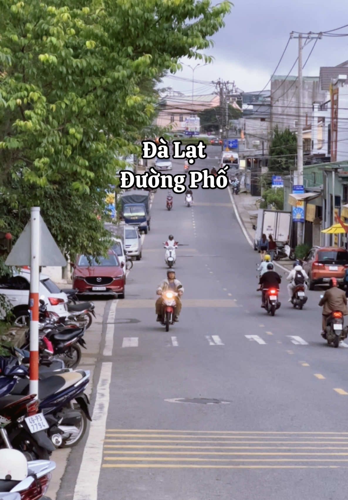 Người có còn đi Đà Lạt #thoitietdalat #duongphodalat #dalatsound 