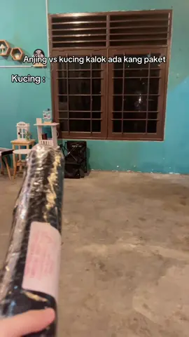 🐈🐈🐈🐈‍⬛🐈‍⬛