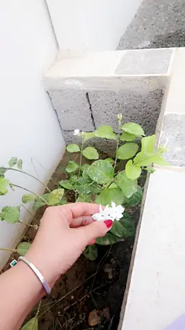 #💕💕❣️ #