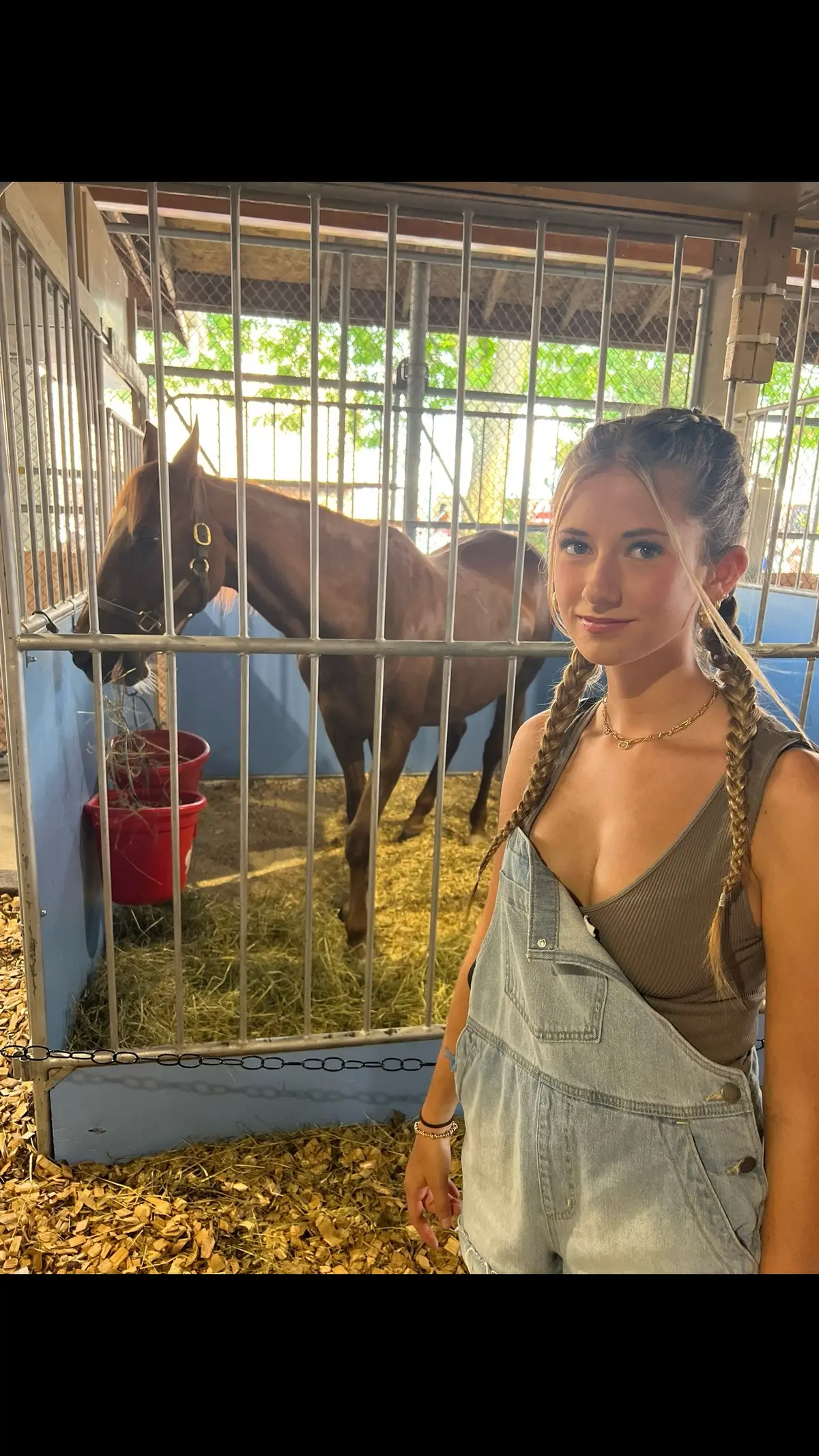 me and the horse 
