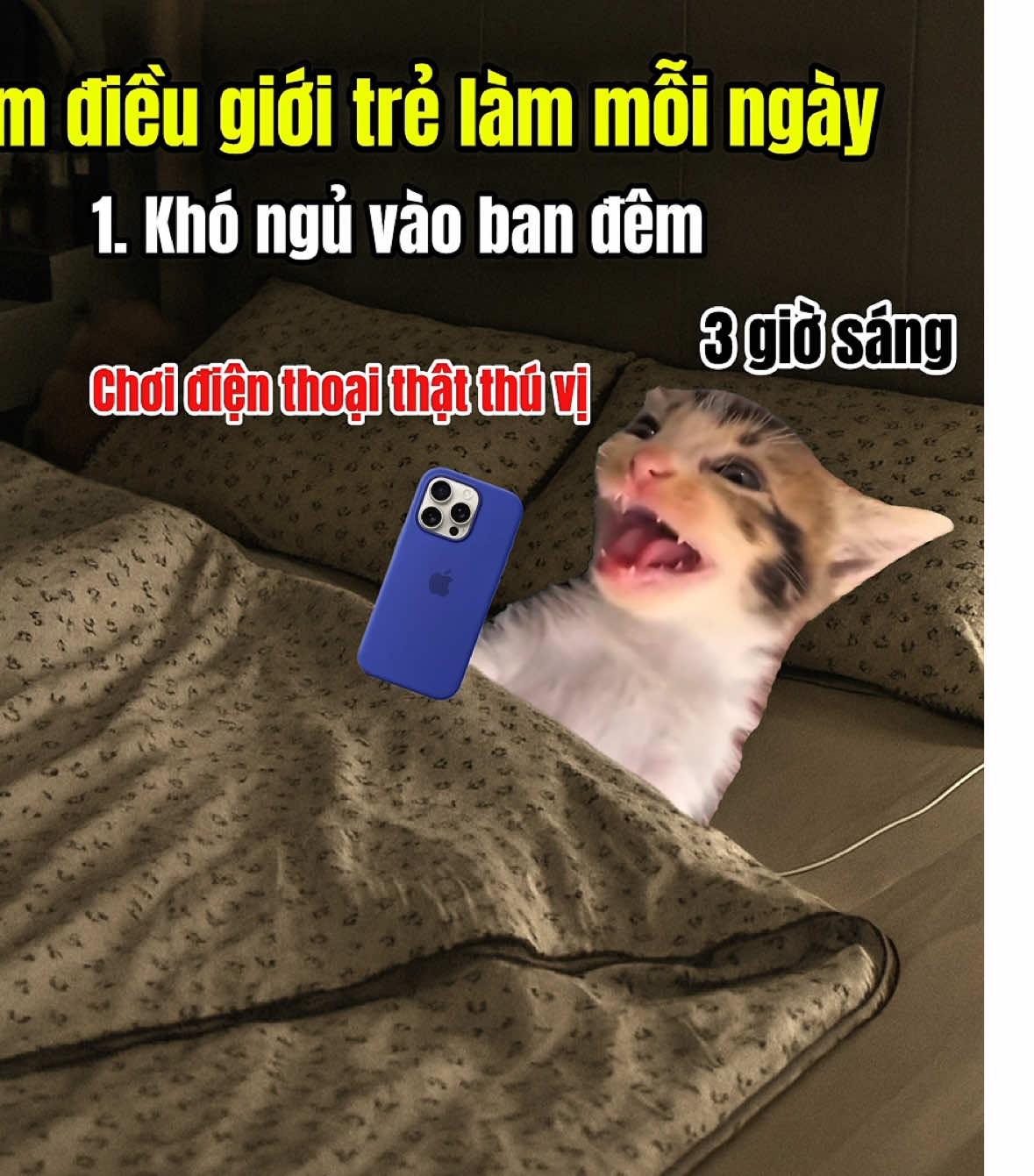 5 điều giới trẻ làm mỗi ngày #meme #catmeme 