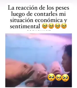 Lloramos toda la tarde, 🥹🥹