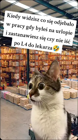 Z przymrużeniem oka 😉  #dlaciebie #virale #treanding #work #funnytiktok 